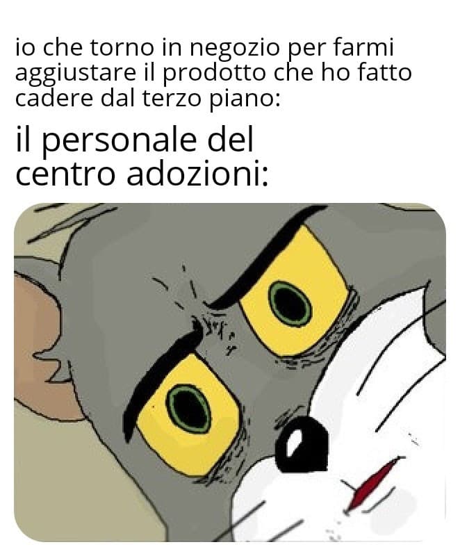  ora prendo un botto di dislike ma non mi interessa, fa troppo ridere, mi sono dato il cinque da solo