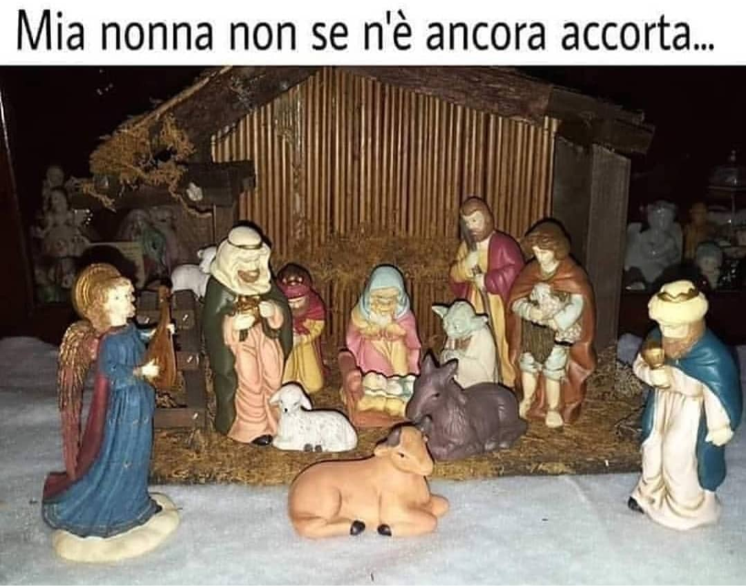 Ma è bellissimo