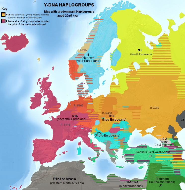 Gruppi genetici in Europa.