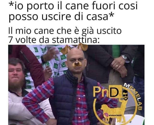 Il ritorno del meme con il tizio