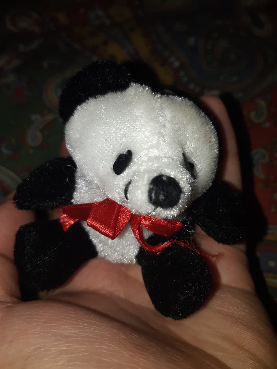 Piccolo regalo dalla mia trottola