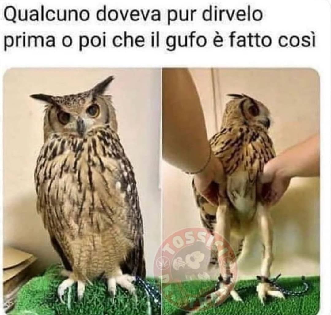 Questa foto mi ha traumatizzata 