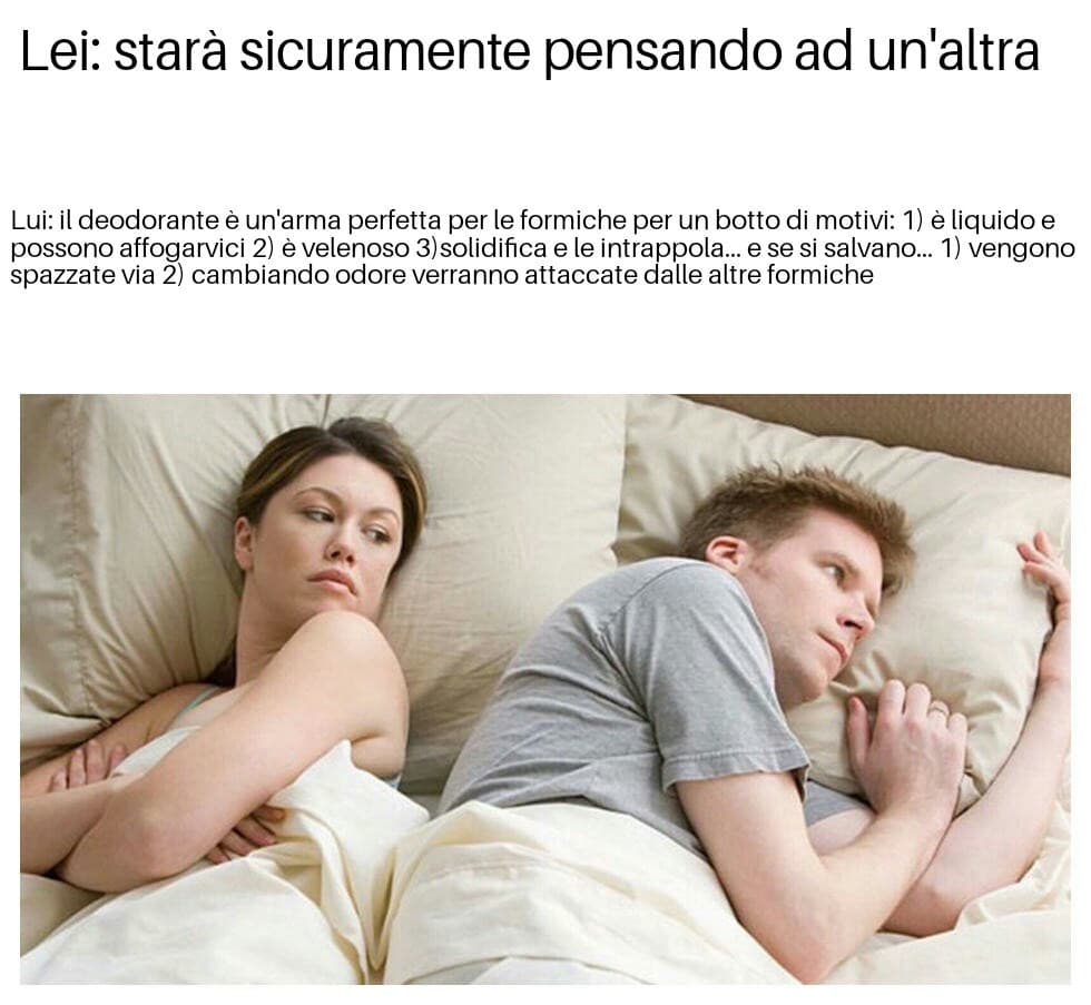 Meme mio