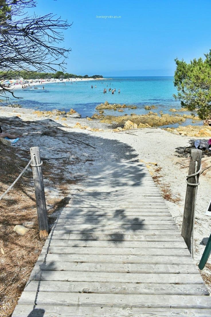 Ho bisogno delle vacanze