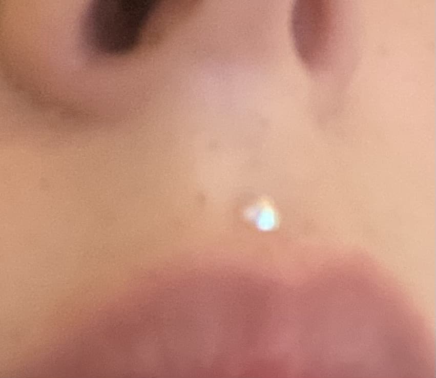 Ho provato il medusa e mi sta male😭😭😭😭😭😭😭 vaffanxulo è il piercing più bello sulla faccia della terra vaffanculo vaffanculp perché sembro una mucca