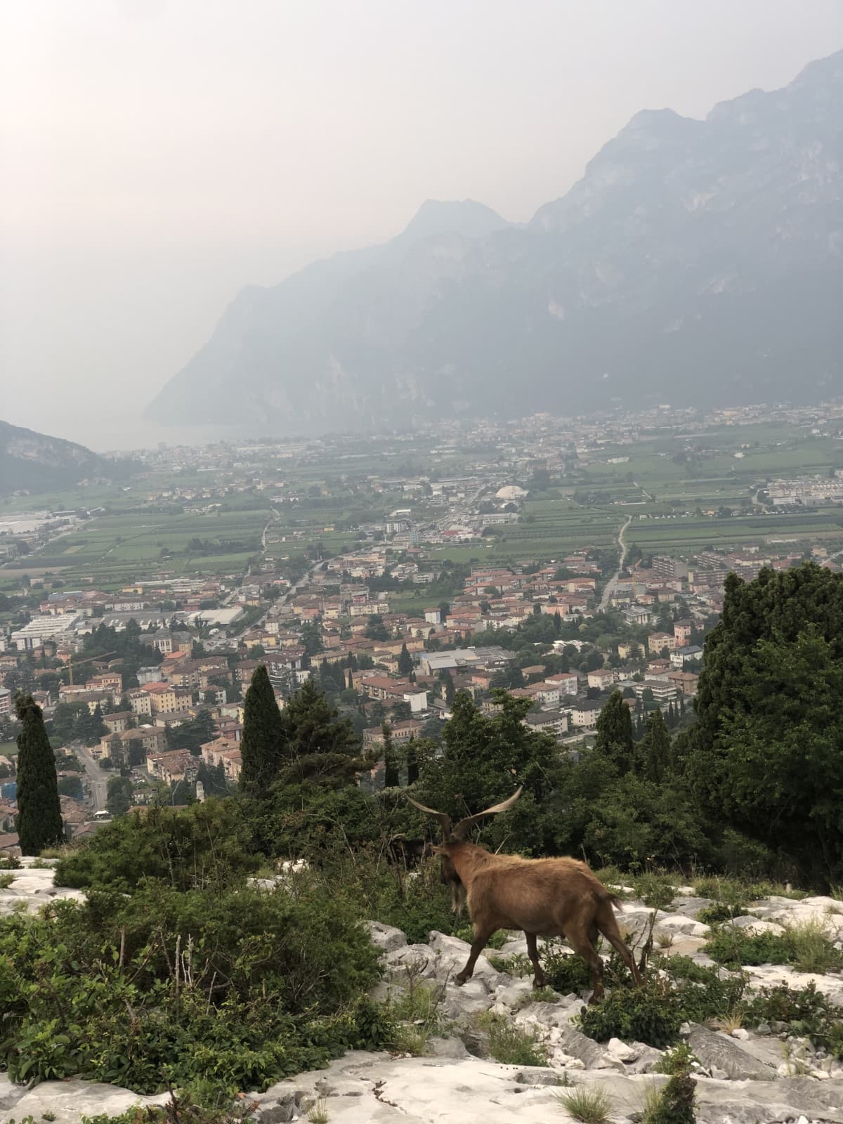 Voglio tornare lì 