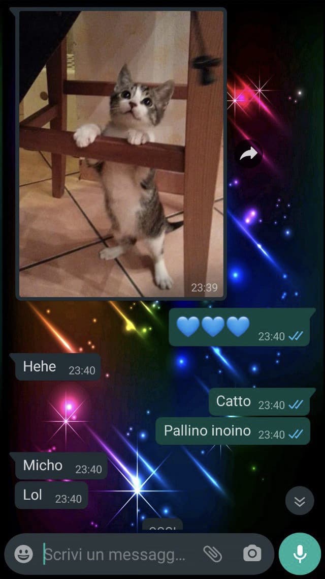 Avere amici che ti mandano foto dei loro gatti perché tu non ne hai ✅✅