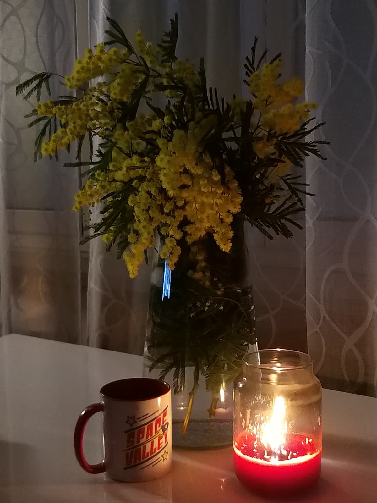 Mimose fuori stagione, Yankee Candle profumata e The al mirtillo💕💫