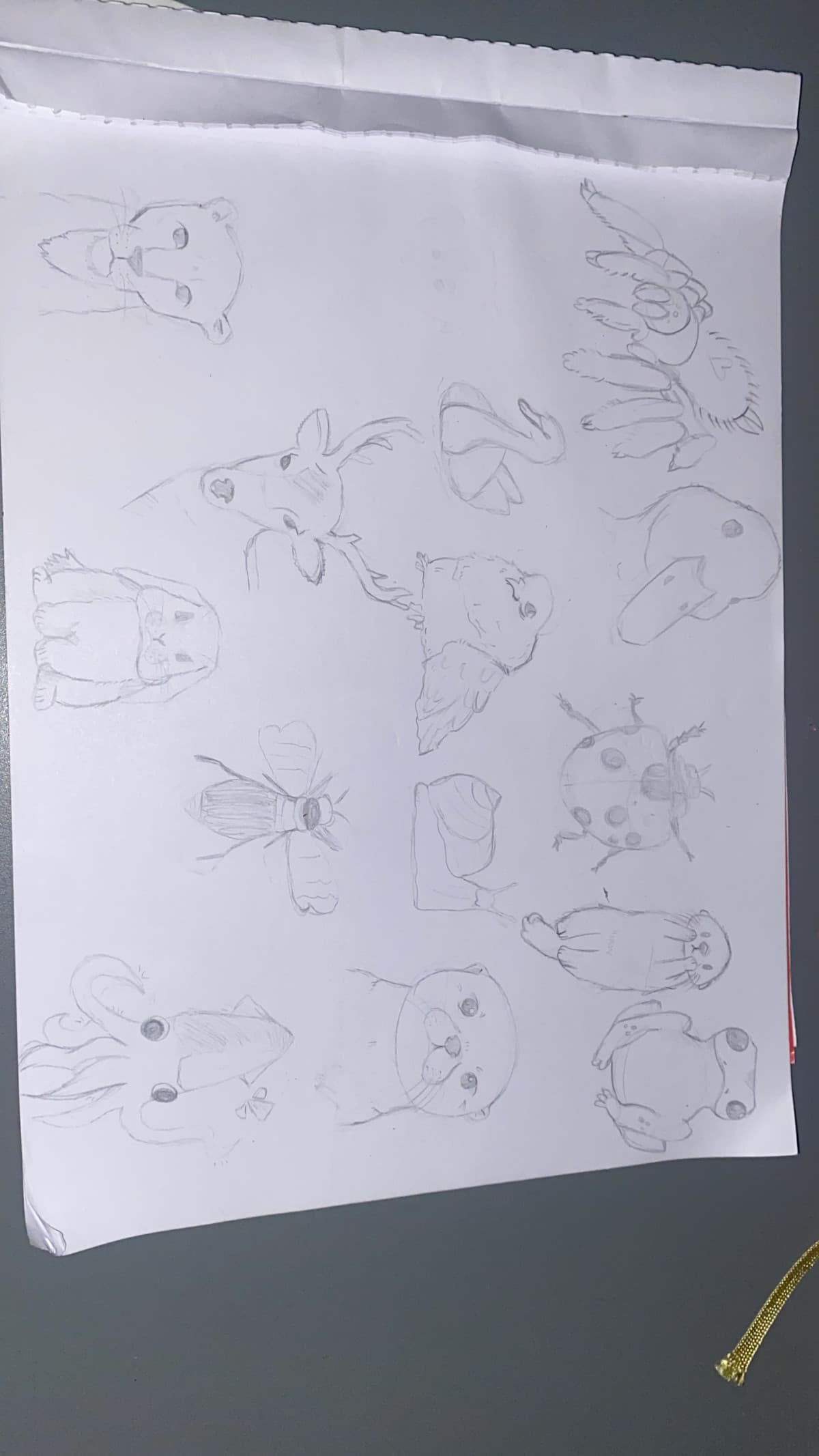 Non mi sono mai messa a disegnare un po “seriamente” questo è il mio primo tentativi (ignorando quello in basso a sinistra) come sono?