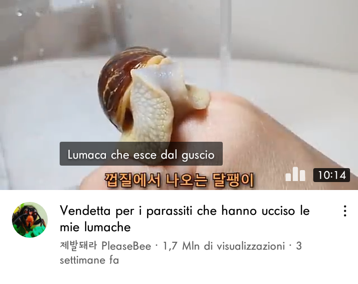 Non fate le vostre vendette, cari miei, ma lasciate posto all’ira di Dio, perché sta scritto: "A me la vendetta, io renderò la retribuzione, dice il Signore".” (Romani 12:19)