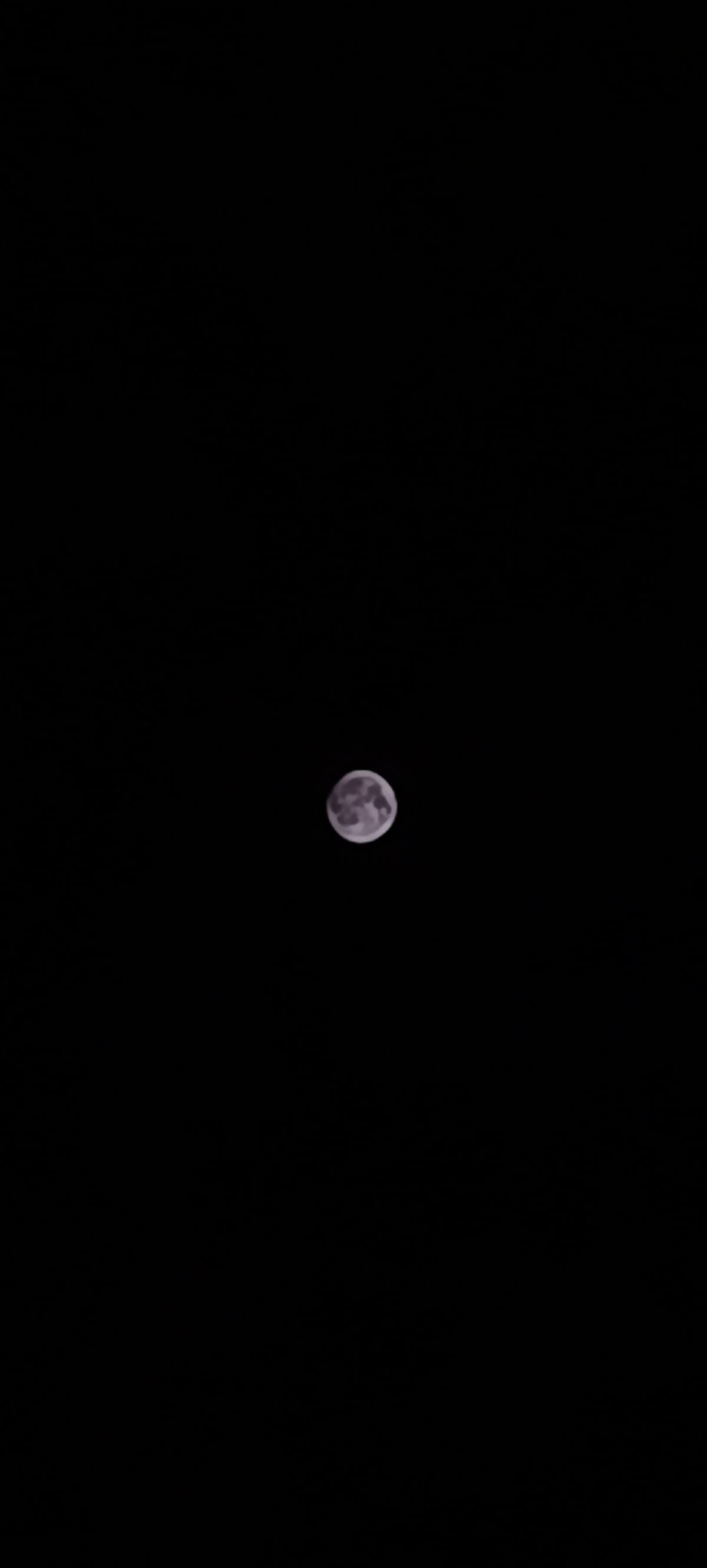 Vi dedico questa luna 