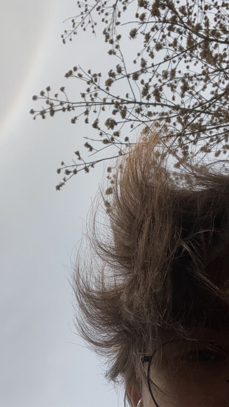 ammirate i miei capelli con il vento