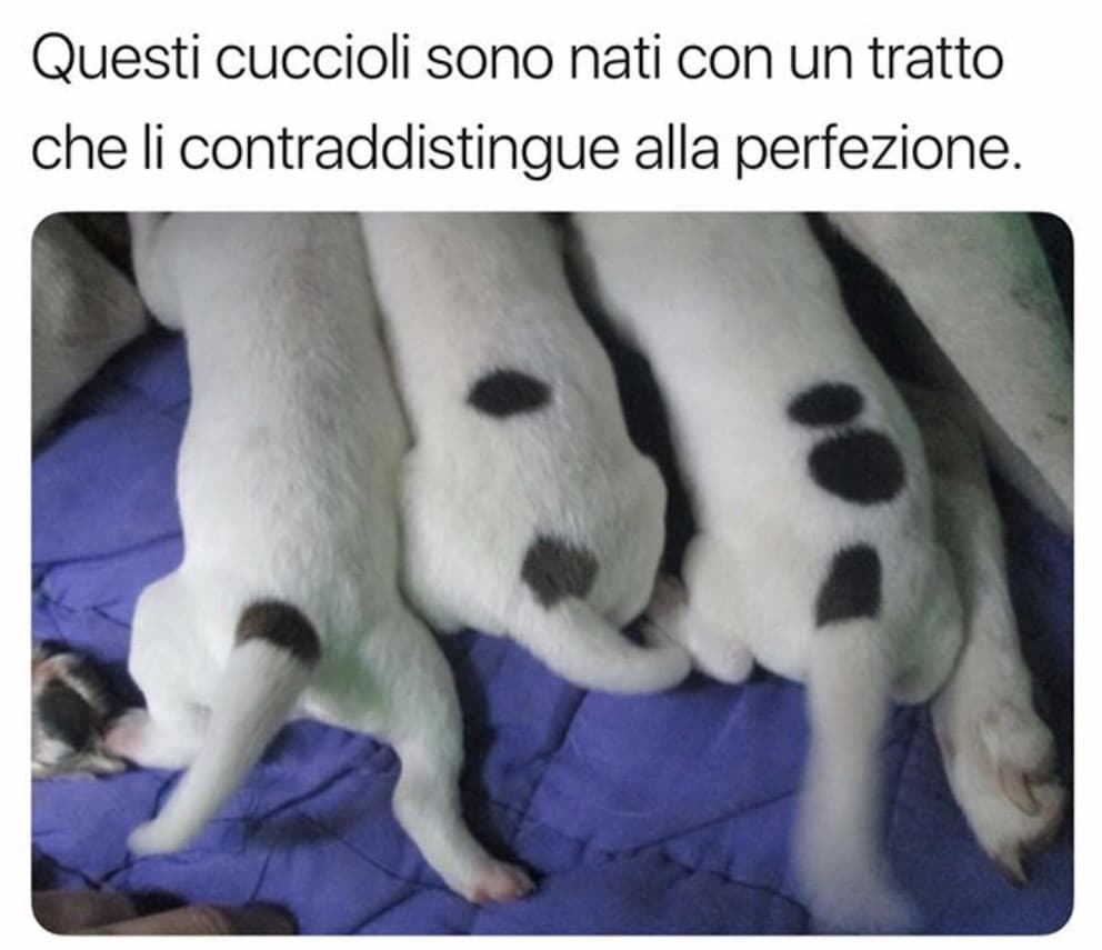 Un, due, tre?