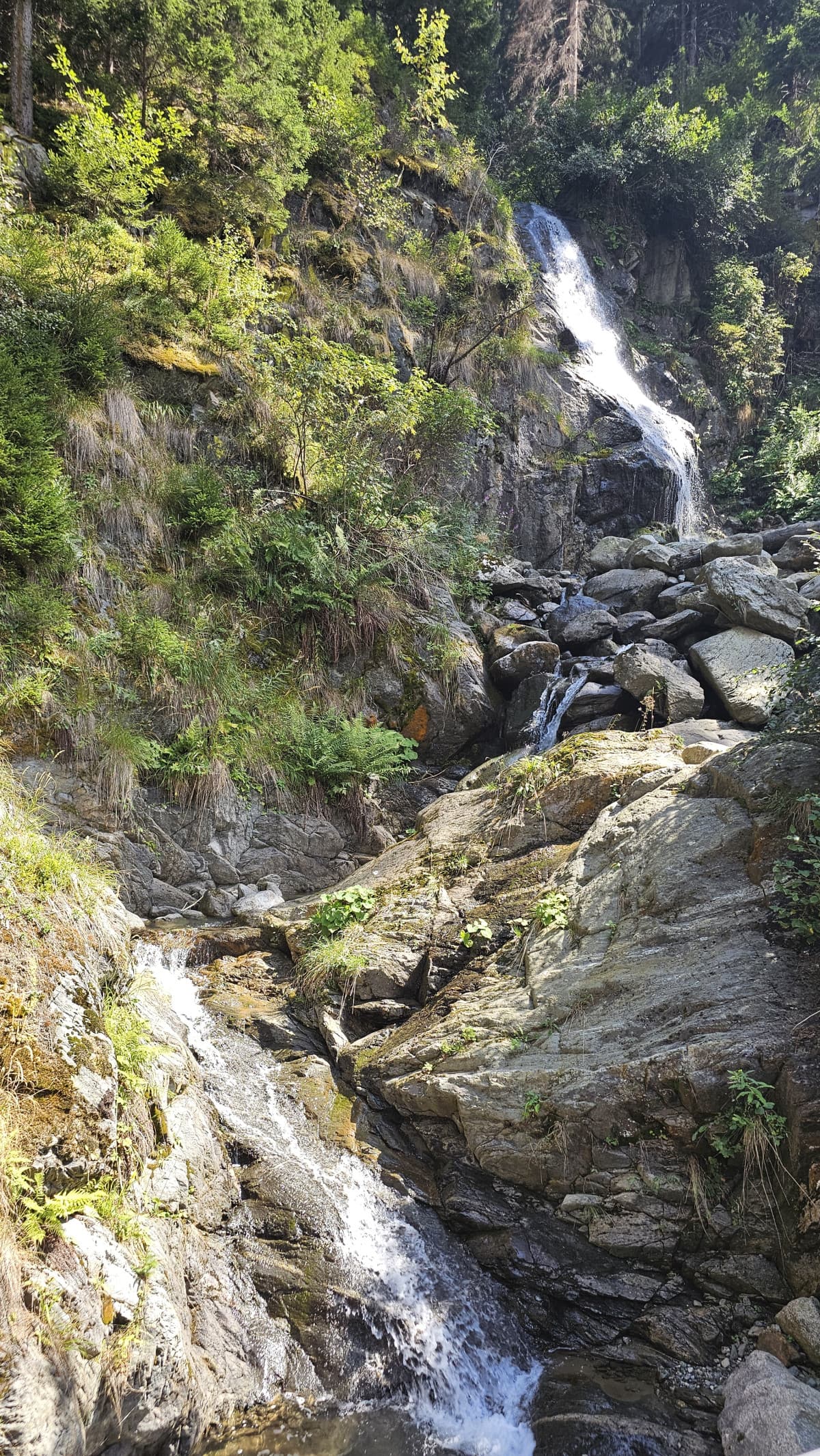 Se c'è una cosa che amo del Trentino...