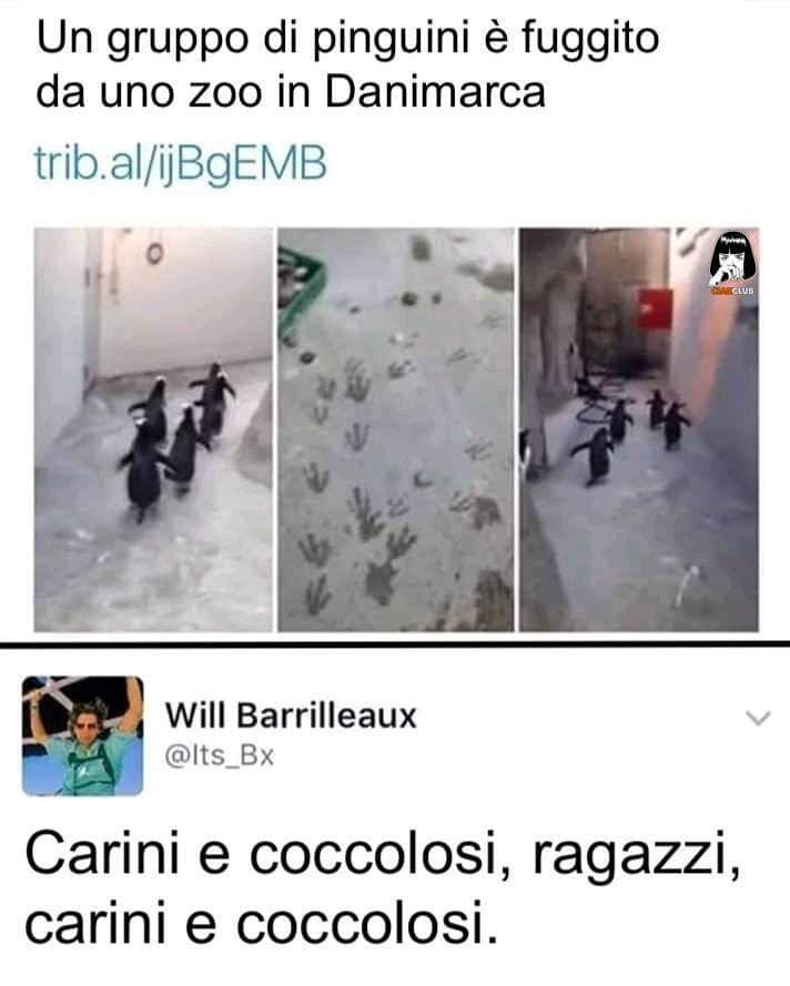 Non tutti capiranno??