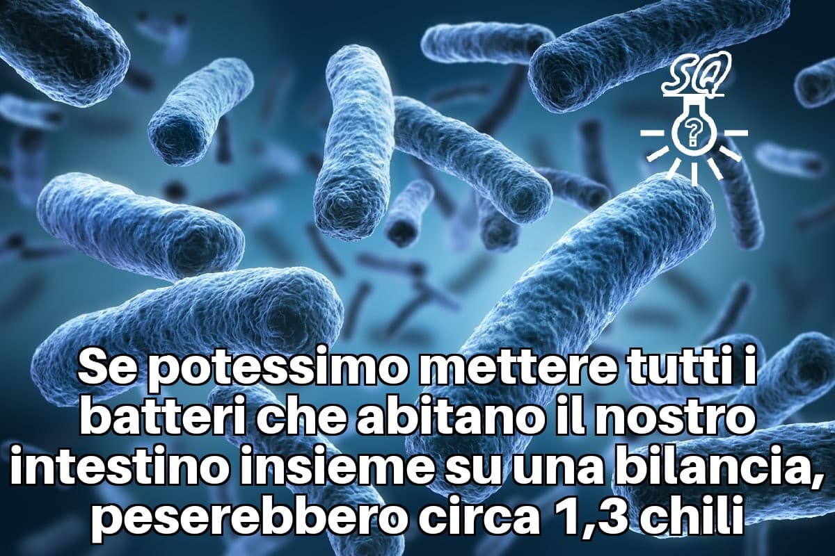 Batteri, nessuno ci fermerà, batteeeri