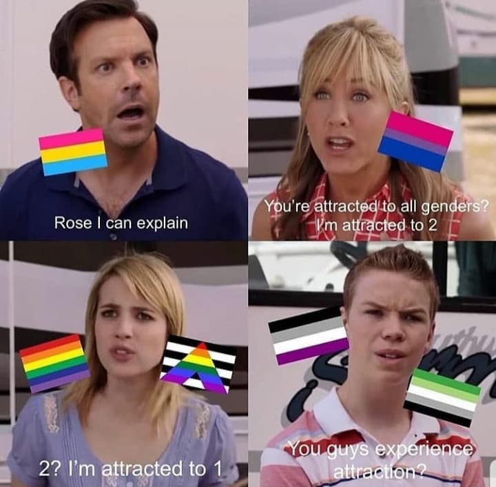 LGBT+ meme