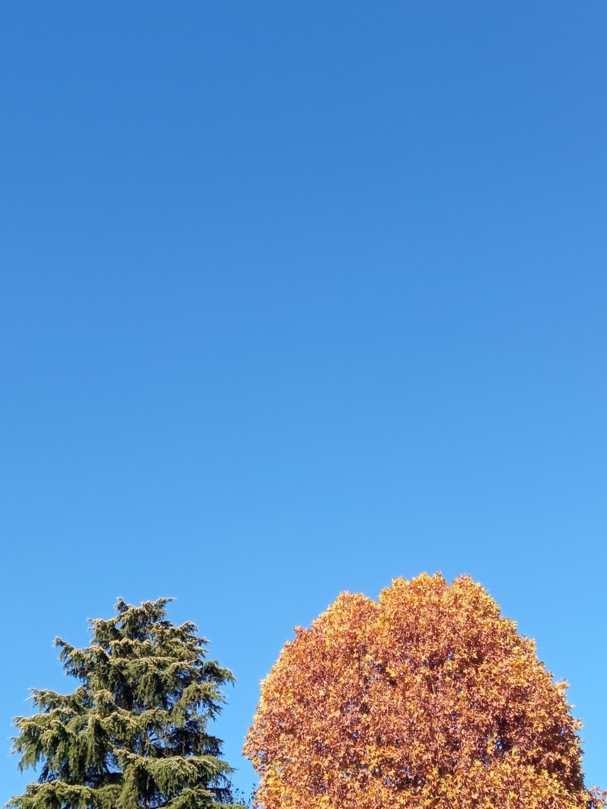 Bellissima giornata, com'è da voi?