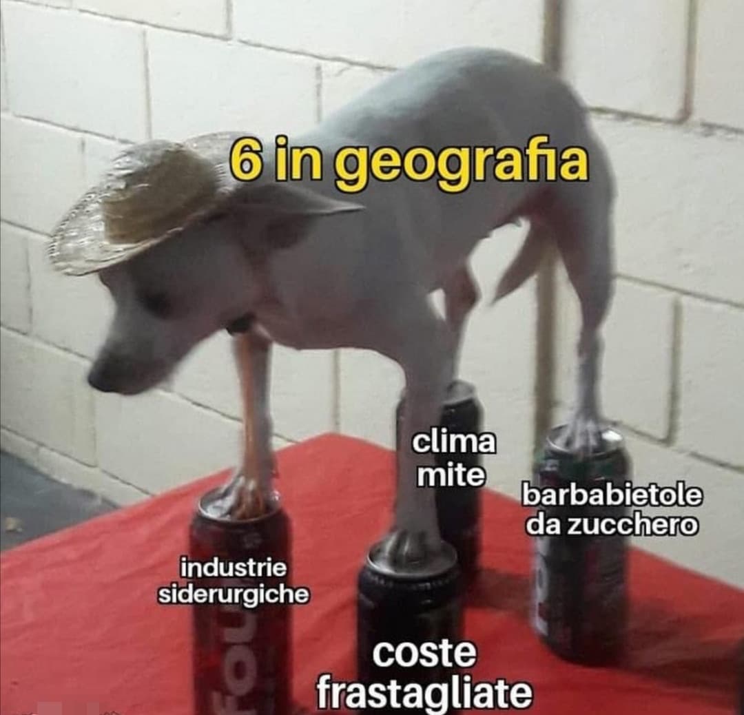 Quanti così? ?