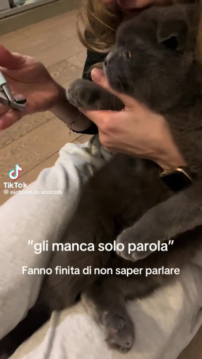 quanto è tenero ahaha