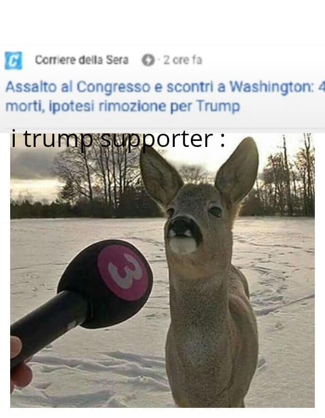 Mi aspettavo gente più seria, beh stiamo dei trump supporter. 