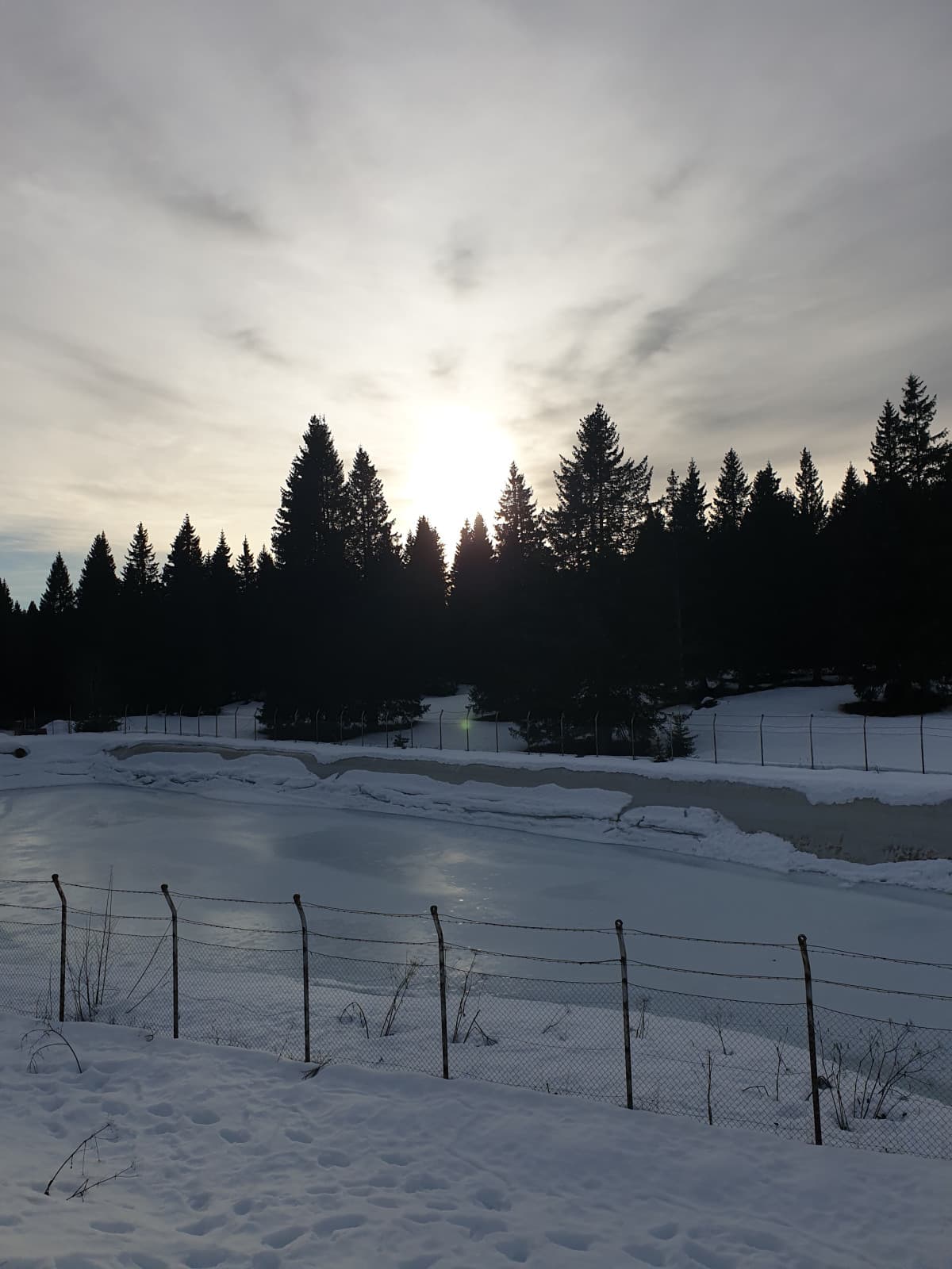 Bello lo snowboard,bello lo scii (anche se non ci so andare),ma fare passeggiate e fotografare..