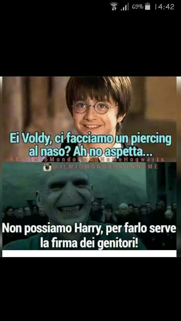 Povero voldy