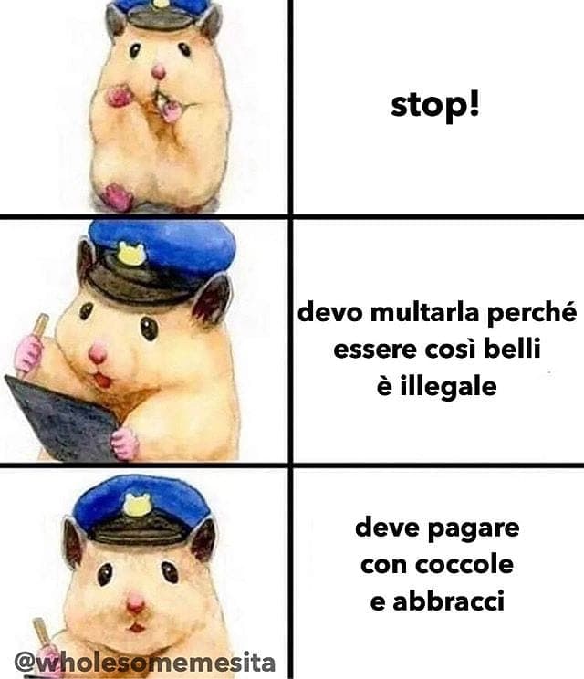 Sera dai casi persi 