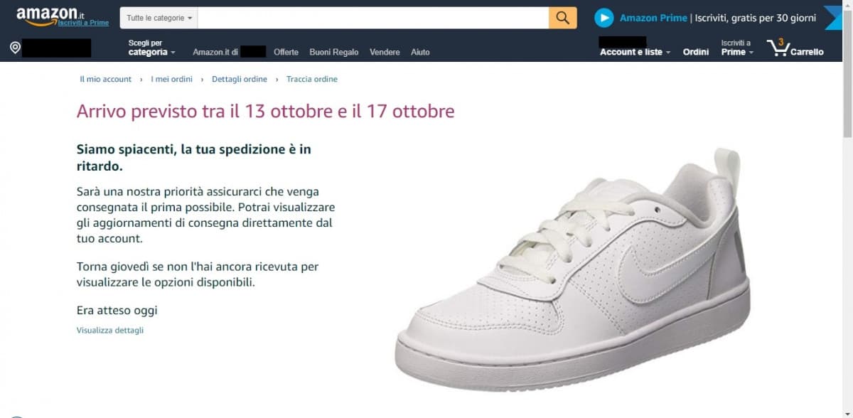 Credo che dovrei comprare Amazon Prime...