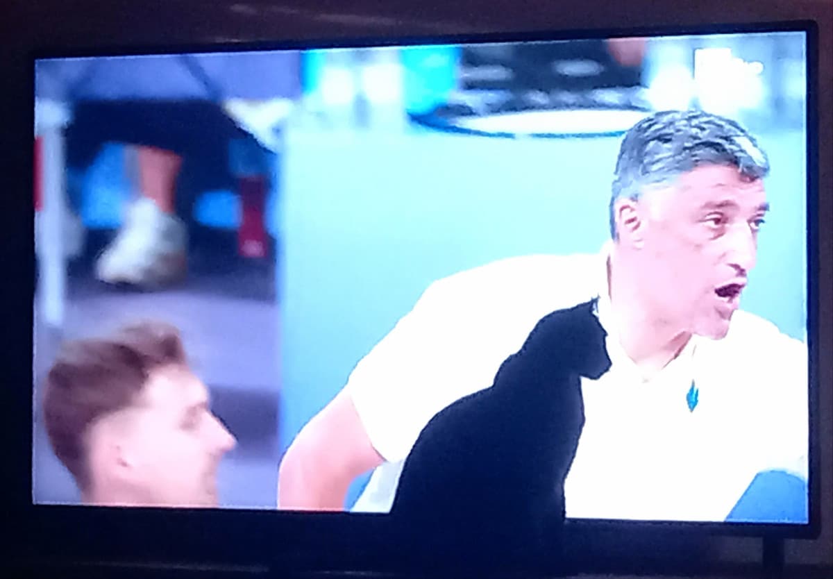 Mia mamma: (Vuole vedere le Olimpiadi). Gatto: non male come posto, mi siederò qui