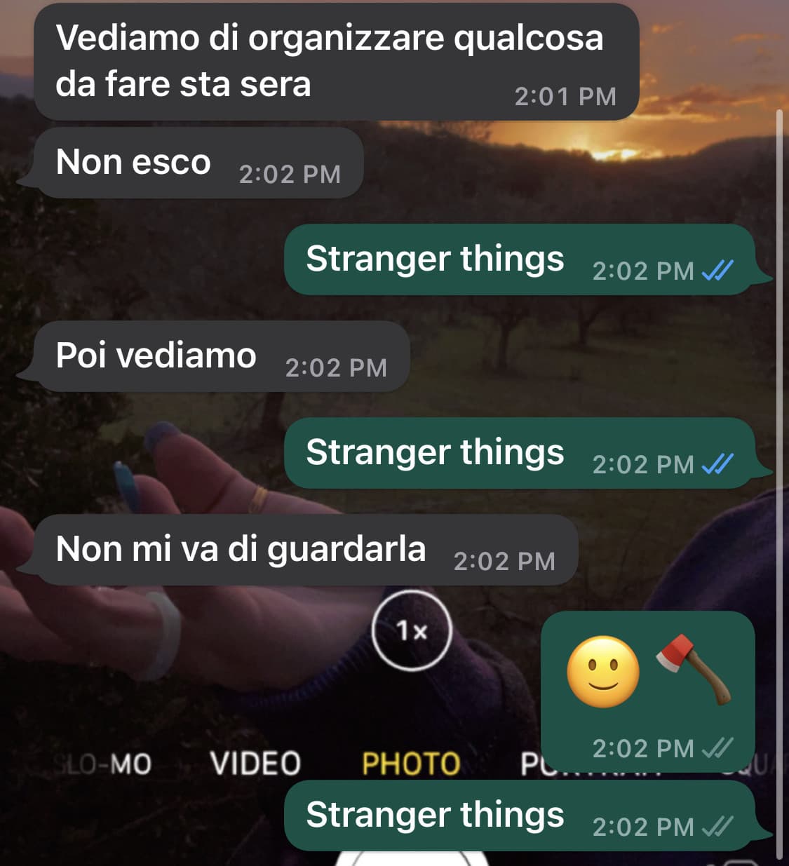 Non io che cerco di convincere mio fratello a guardare Stranger Things insieme perché le altre stagioni le abbiamo viste insieme 