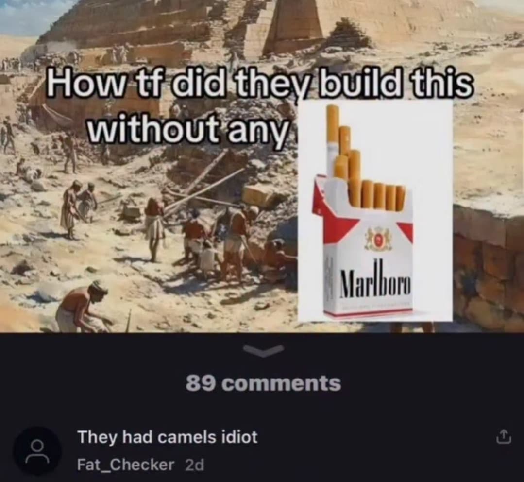 🐪