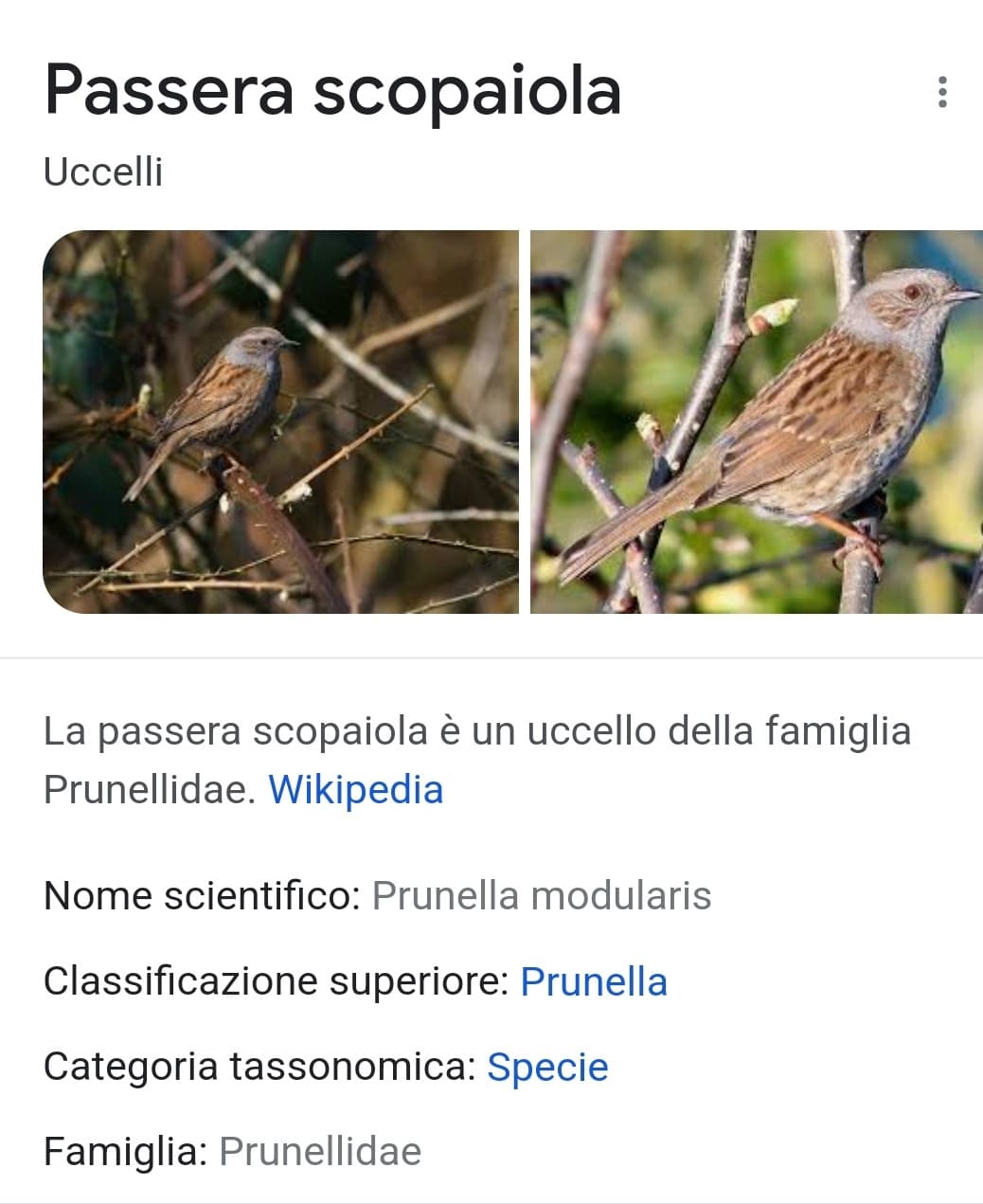 E dalla natura è tutto amici