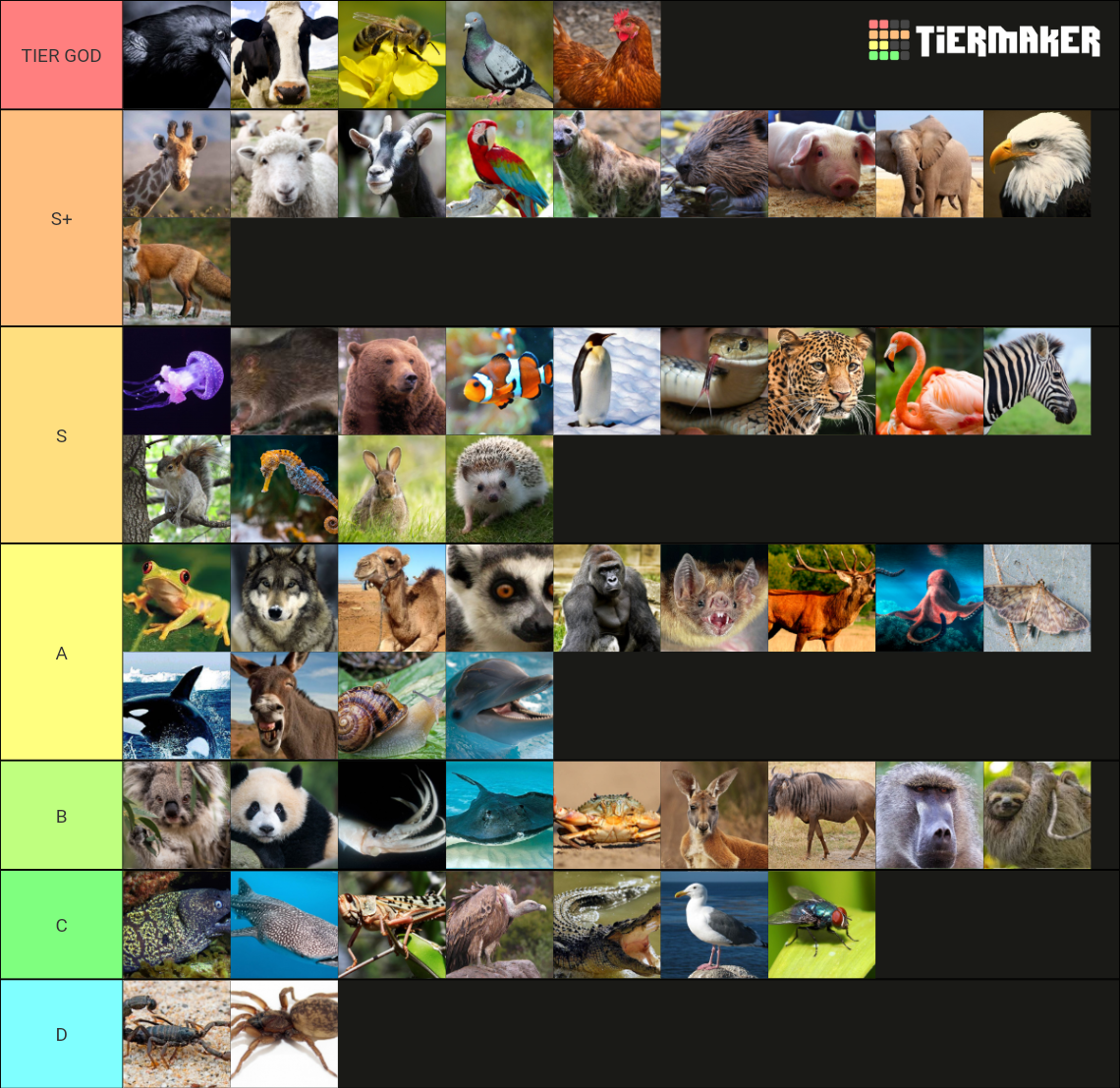 tier list degli animali 