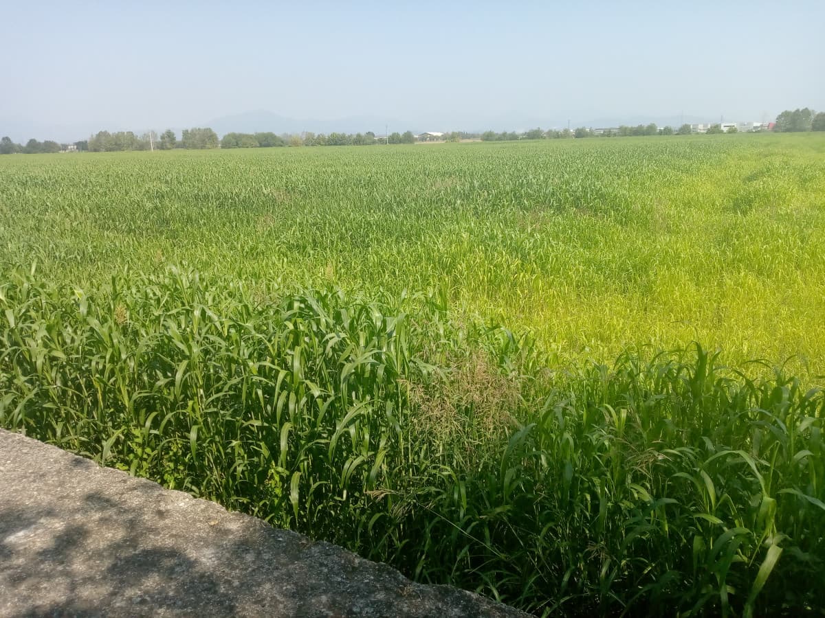 Non avevo un cazzo da fare e quindi sono venuta qui in mezzo al nulla per salire su una centralina dell'acqua