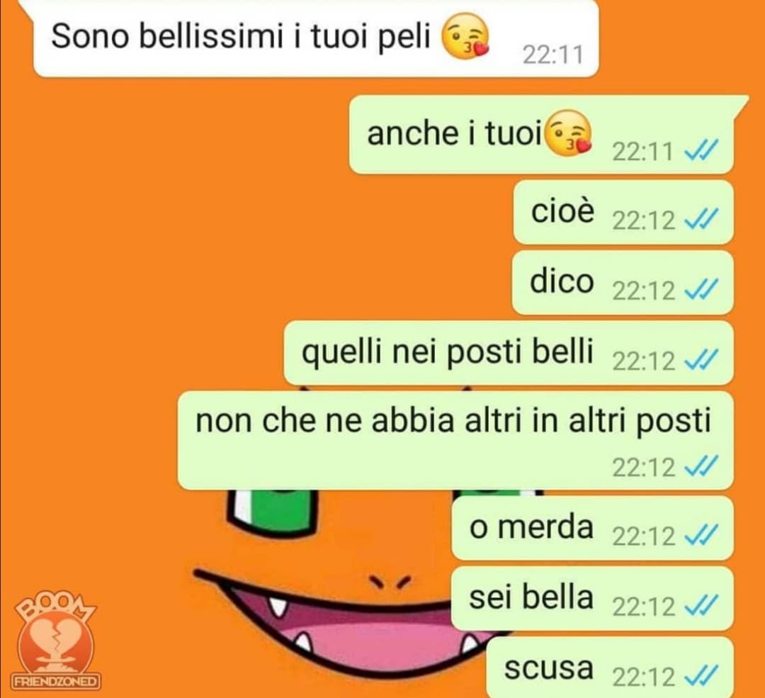 no vabbè ma a parte tutto... Ma chi è che va a dire "sono bellissimi i tuoi peli", cioè che cazzo di complimento è 