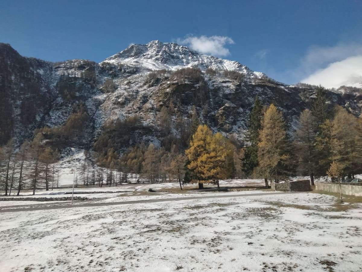 La felicità di quanto ti metti a dormire al pomeriggio e ti svegli con una chiamata di crush rimanendo poi a parlarci per 4 ore ?