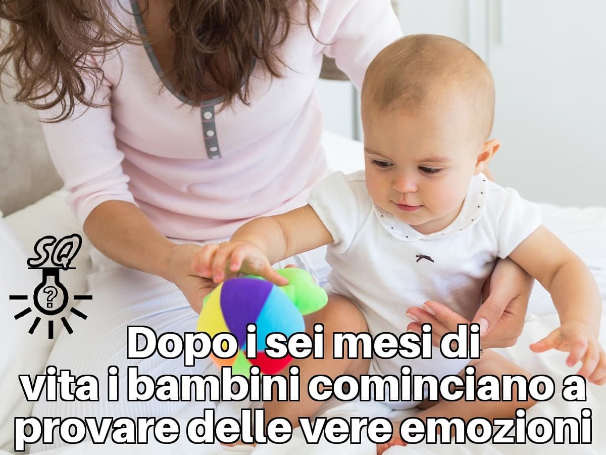 #curiosità