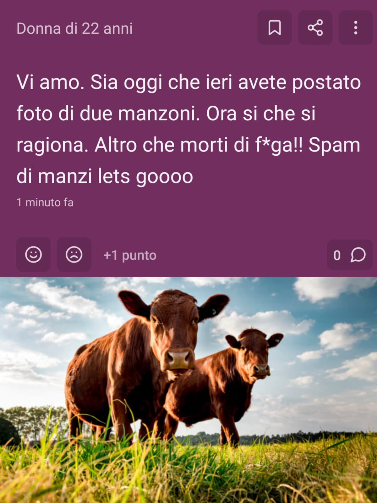 Accontentata