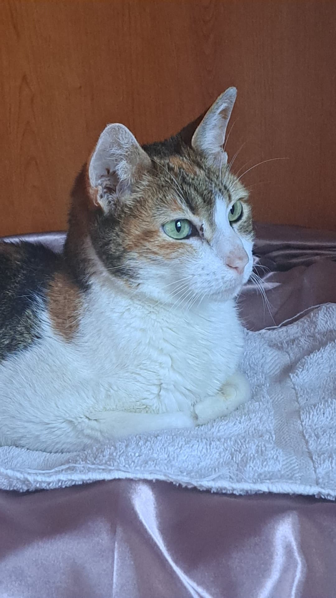 Sono andata a trovare i miei colleghi 