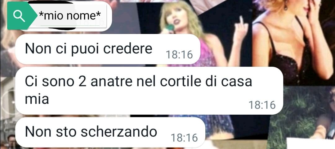 La mia migliore amica be like: