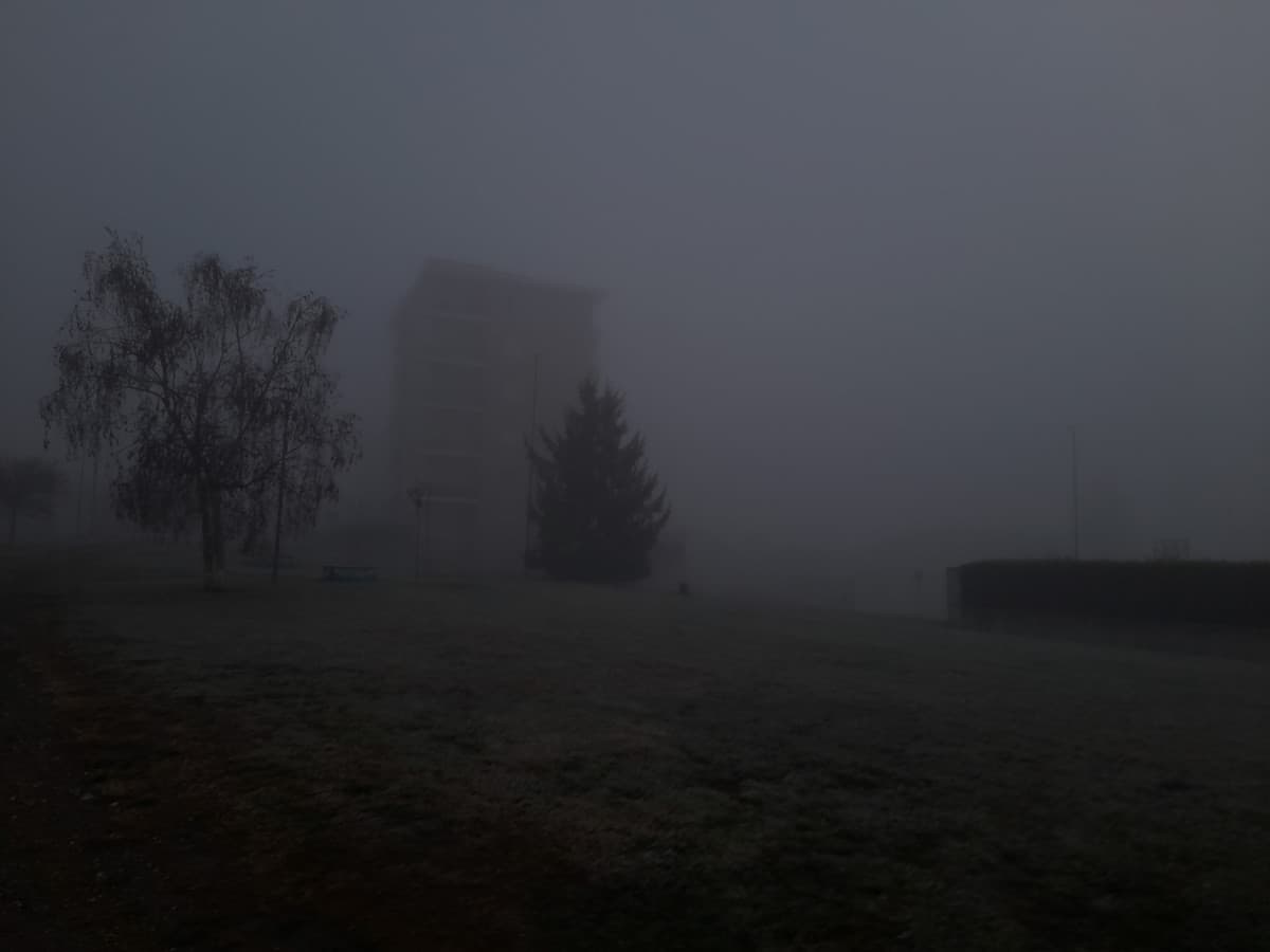 ew nebbia voglio andare a vivere al sud