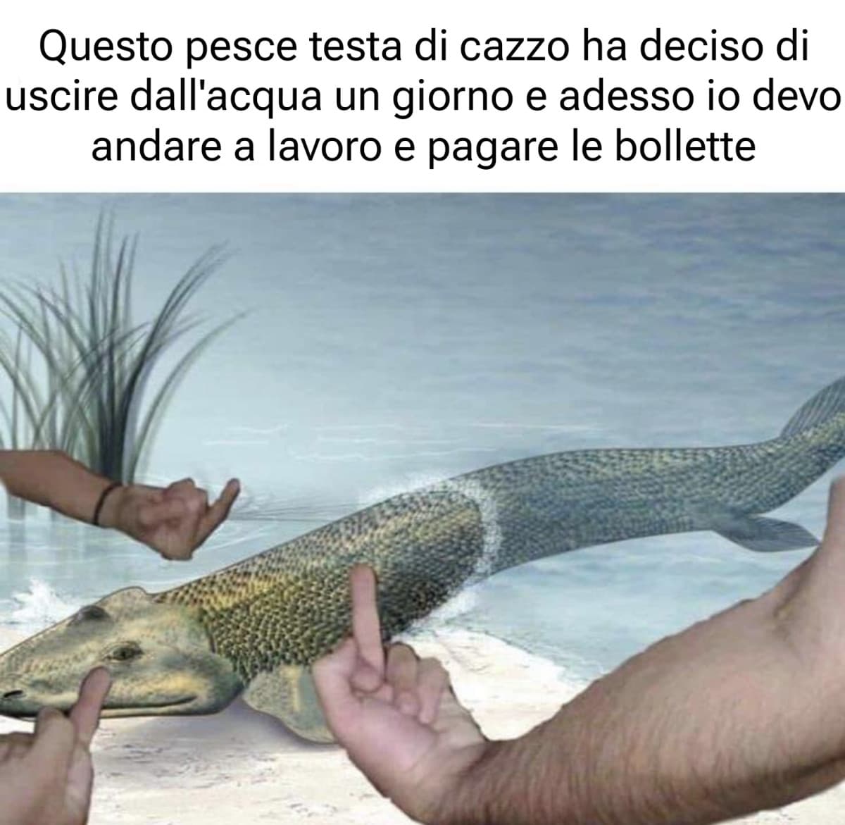 Bastardo di merda