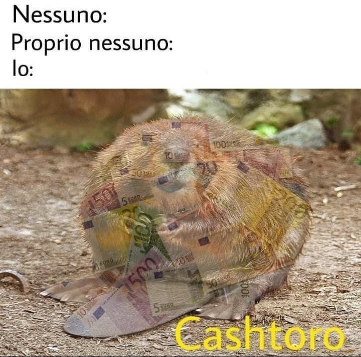 ✨cashtororo✨