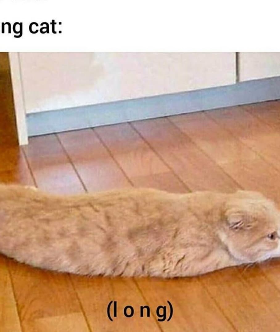 Lo voglio ora 