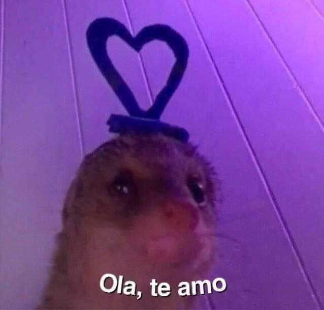 Ola te amo 