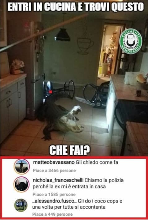 Commenti memorabili 