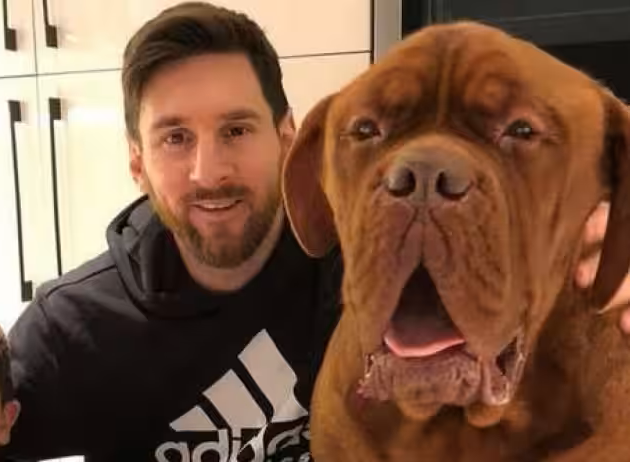 Foto di Messi(cane)