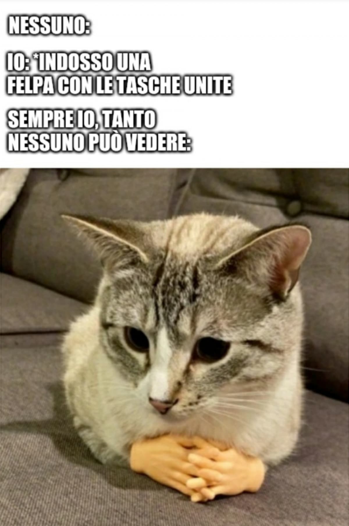 Qui forse posso veramente pensare di essere l'unico