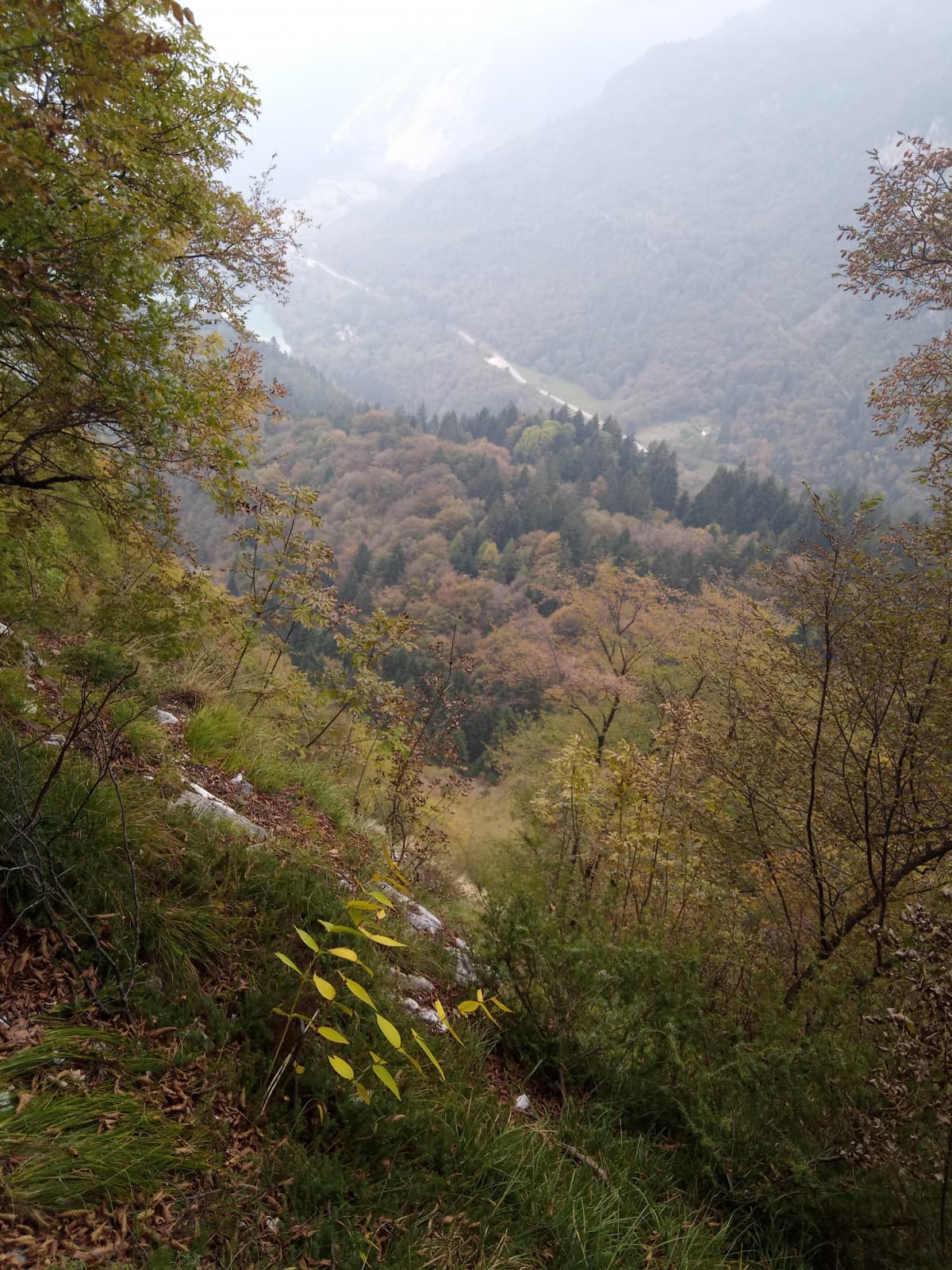 Colori dell'autunno...❤️